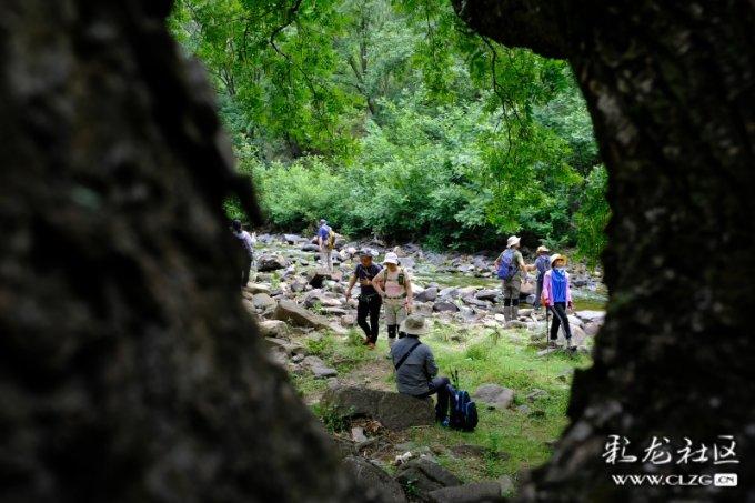 2024年首个跨省远程异地评标工程建设项目顺利完成